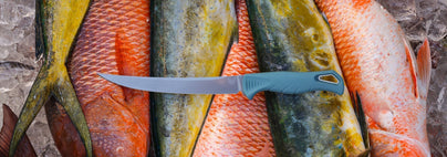 Teal-handled Fishcrafter 5" fillet knife rests on vibrant fresh fish, showcasing its sleek design and professional precision.