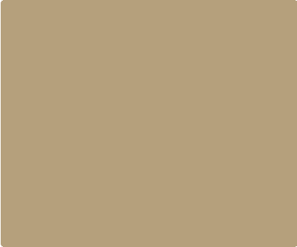 Desert Tan 580 Backspacer Component - Color Swatch | Benchmade Knife Co.