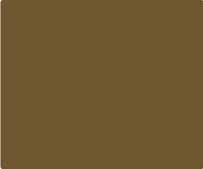 Flat Dark Earth 580 Backspacer Component - Color Swatch | Benchmade Knife Co.