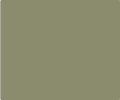 Olive Drab 580 Backspacer Component - Color Swatch | Benchmade Knife Co.